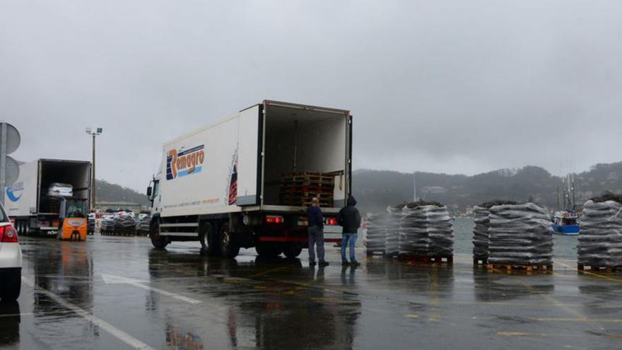 Los bateeiros de Aldán descargan 10 camiones al reabrir los polígonos