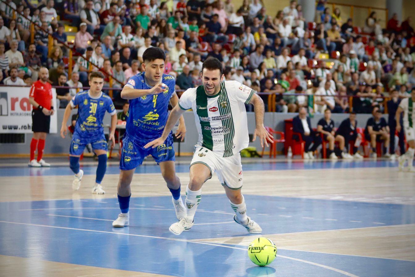 El Córdoba Futsal - Peñíscola en imágenes