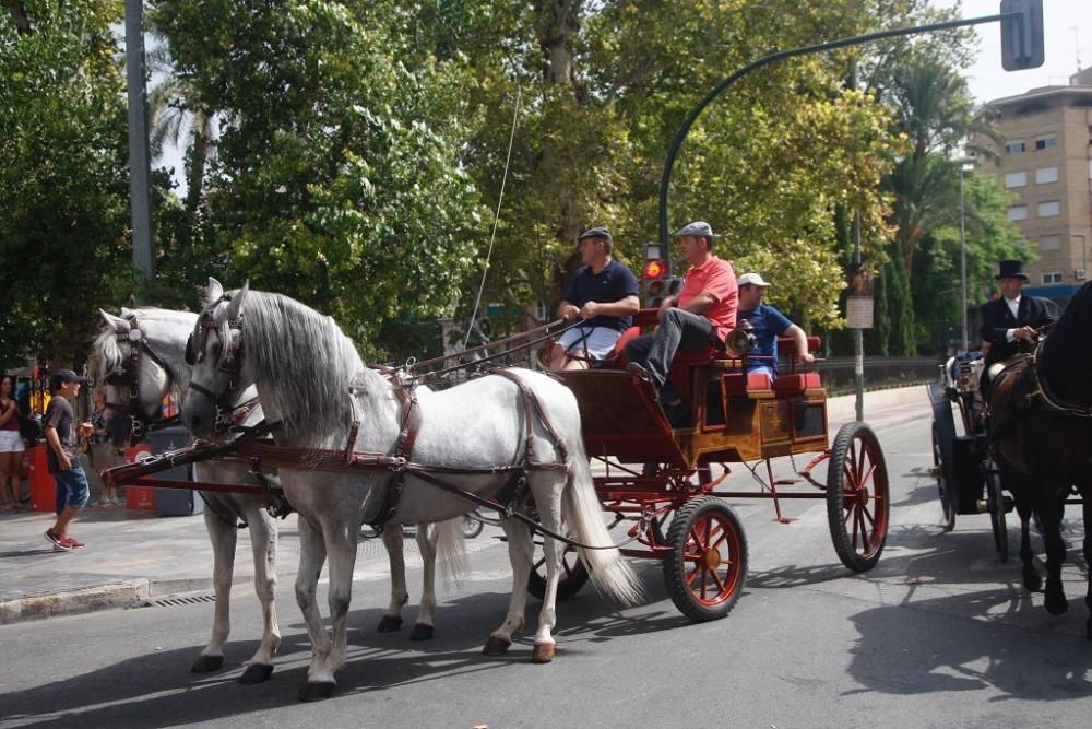 Día del caballo en la Feria de Murcia 2018