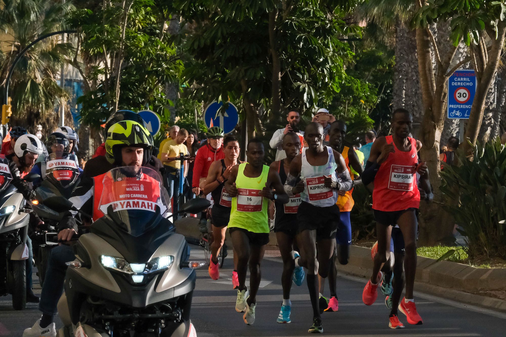 La Maratón de Málaga 2023, en imágenes