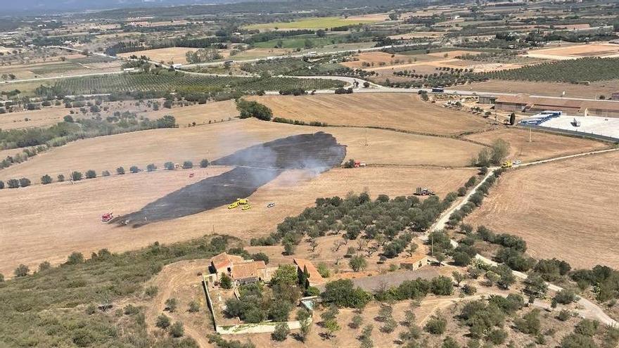 Un incendi crema una hectàrea de vegetació a Pont de Molins