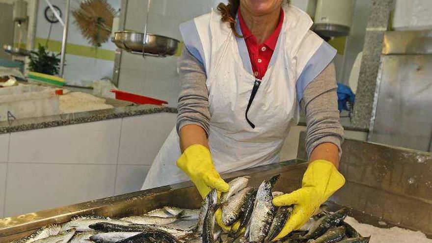 Una pescadera muestra sus sardinas en una foto de archivo. // M.G. Brea
