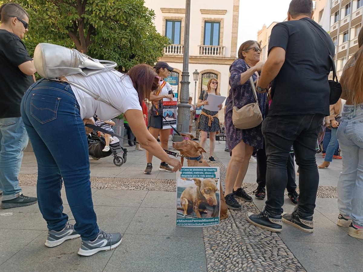 Inicio de la concentración animalista, en las Tendillas.