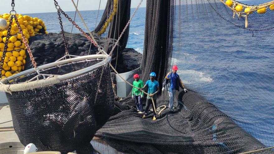 Tres trabajadores de un cerquero izan uno de los aparejos del barco repleto de atún.