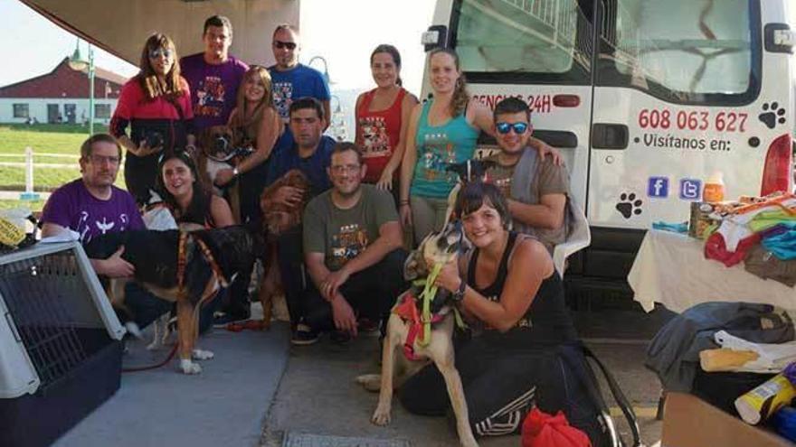 Algunos de los socios de Occidente Astur, con varios de sus perros.