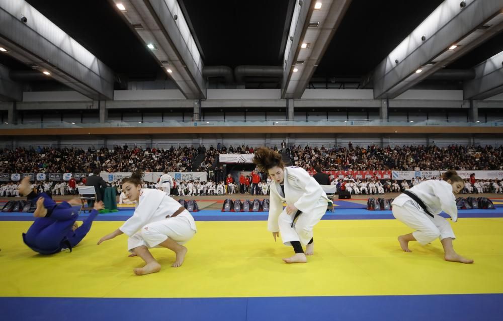 26ª edición de la Fiesta del Judo Infantil