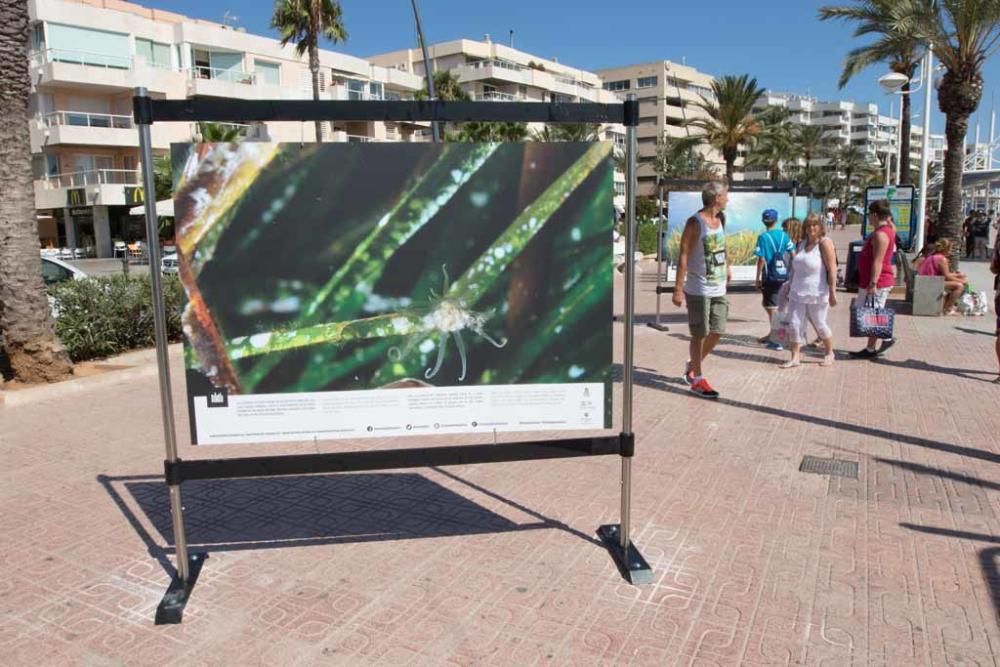 La campaña aborda varios campos, como el de la fotografía