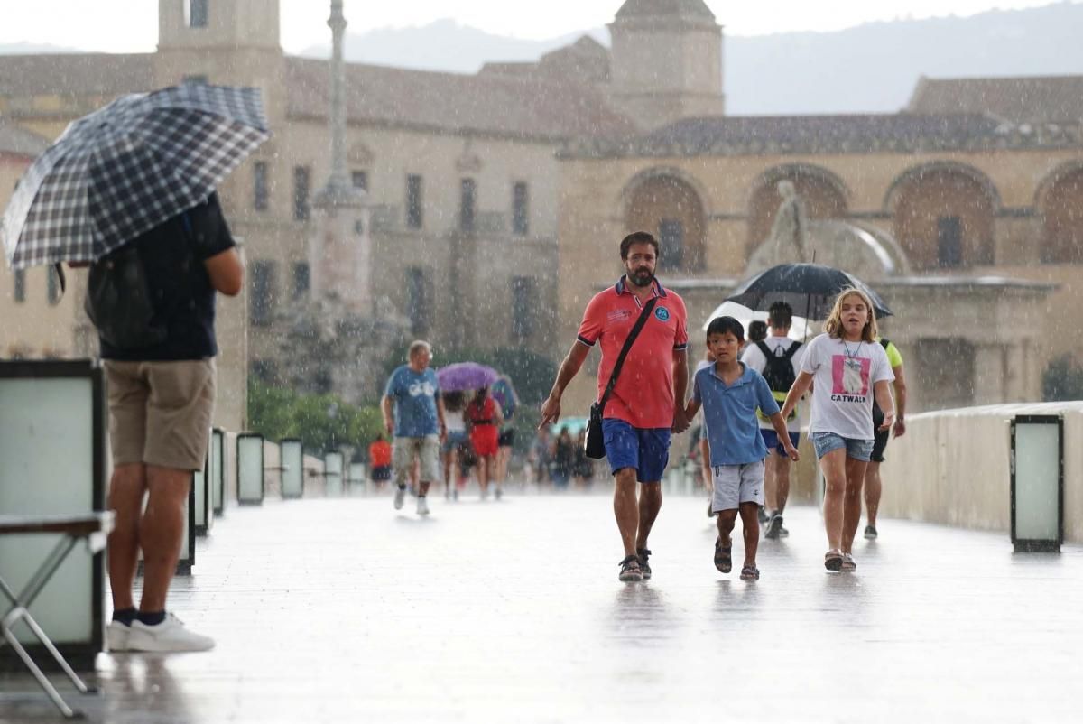 Llegan las primeras lluvias a Córdoba tras 123 días sin llover.