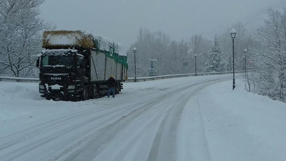 Nevada a la Cerdanya el 28 de gener