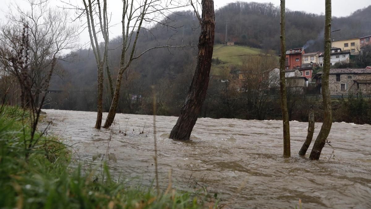 El río Nalón, en una crecida en 2023 a su paso por Pola de Laviana.