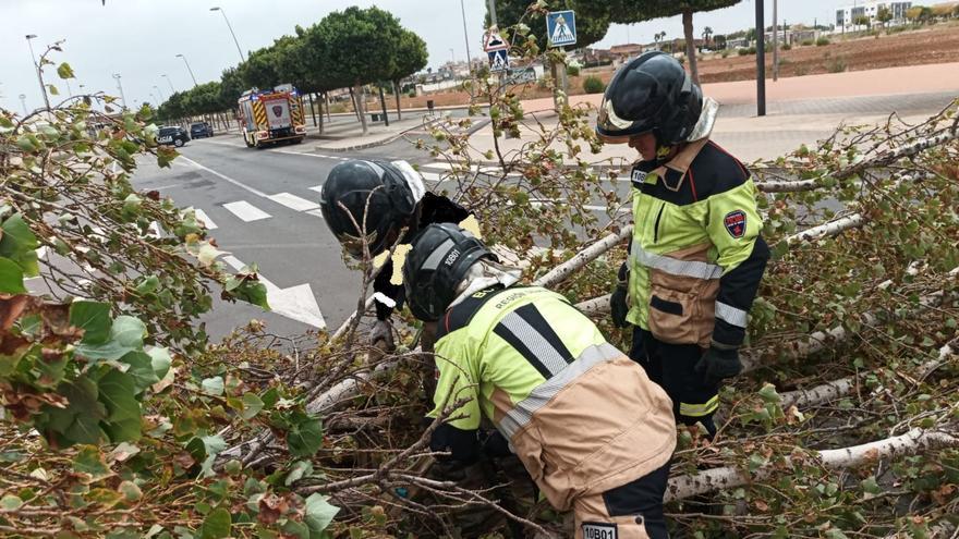 El Gobierno declara la Región de Murcia como zona catastrófica por la DANA de septiembre