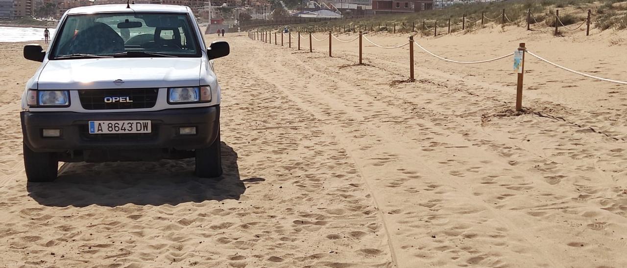 NUEVO BALIZADO DE MÁS DE 400 METROS LINEALES PARA SALVAGUARDAR LA NIDIFICACIÓN DEL CHORLITEJO PATINEGRO EN LA PLAYA DE LA MATA 4