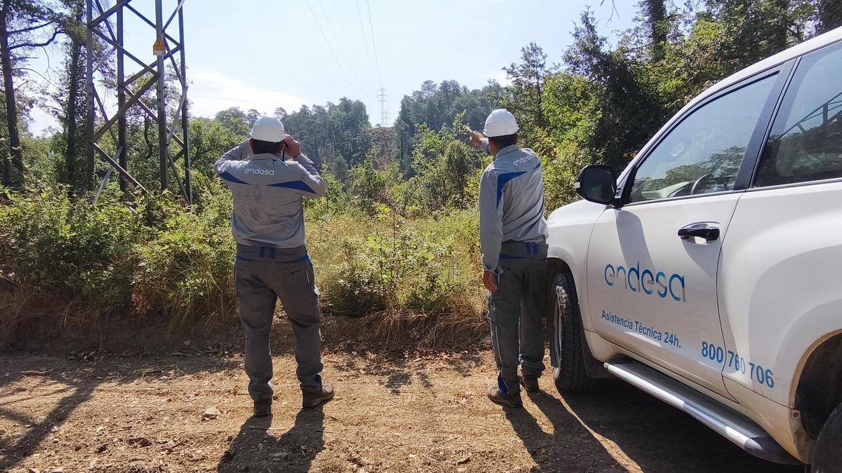 Operarios de Endesa a pie de campo revisando la tensión de la red eléctrica.