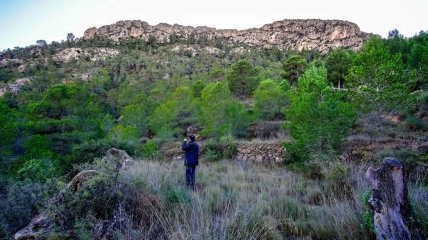 Imagen de la sierra de Camara de Elda.