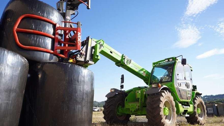 Lalín conserva 389 empresas ligadas a la producción ganadera. // Bernabé