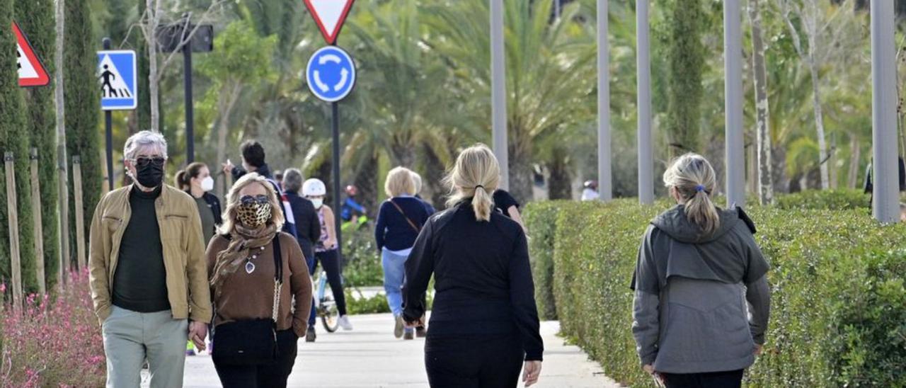 El campus es un lugar de paseo para muchos ilicitanos. | MATÍAS SEGARRA