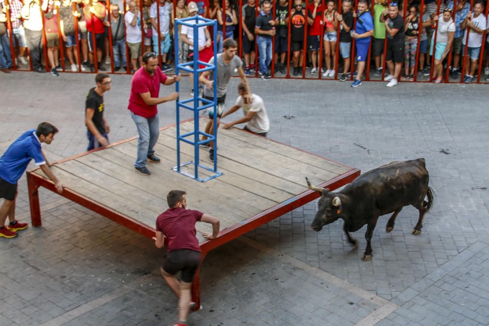 Fiestas de la Vaca de Castalla.