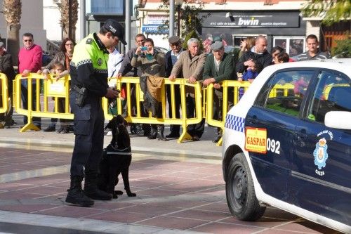 Exhibición canina en Cieza