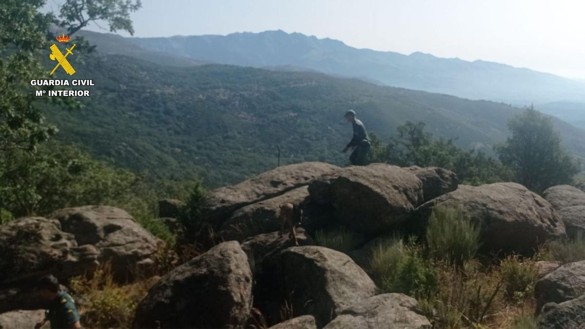 Cadáver encontrado en Villanueva de la Vera