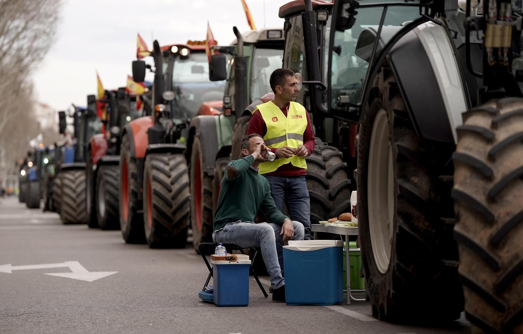 Manifestación de agricultores en Madrid, en imágenes