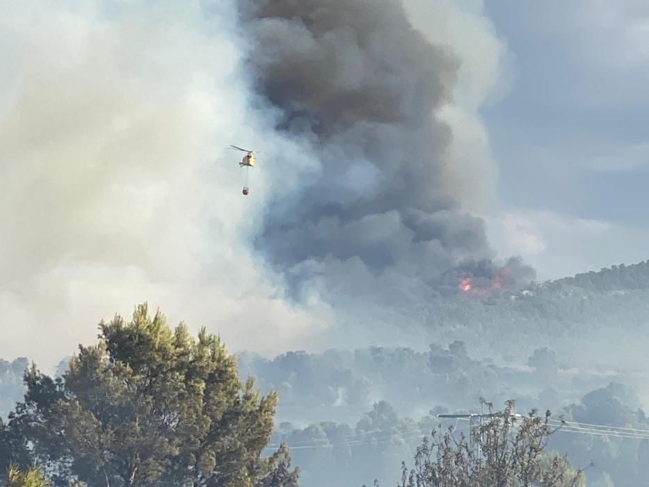 Un incendio en Mula alerta a los bomberos por su c