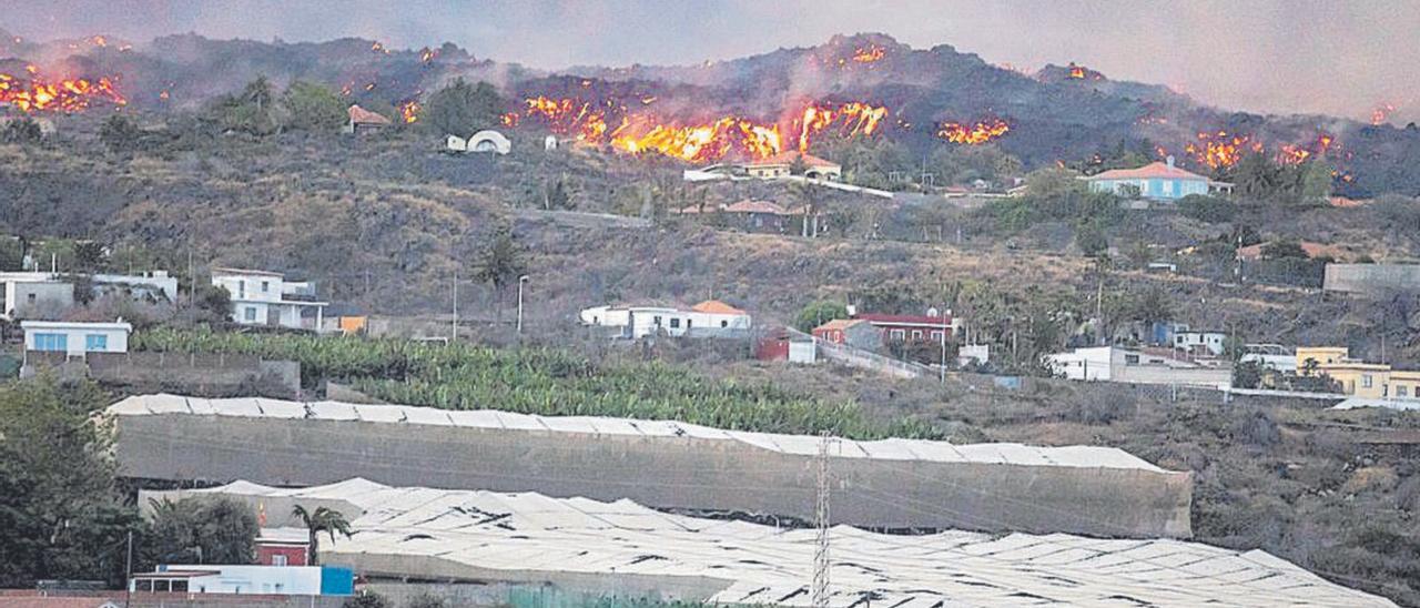 Vista de la erupción volcánica de La Palma y la destrucción de la lava a su paso por casas, invernaderos y plataneras. | | E.P.