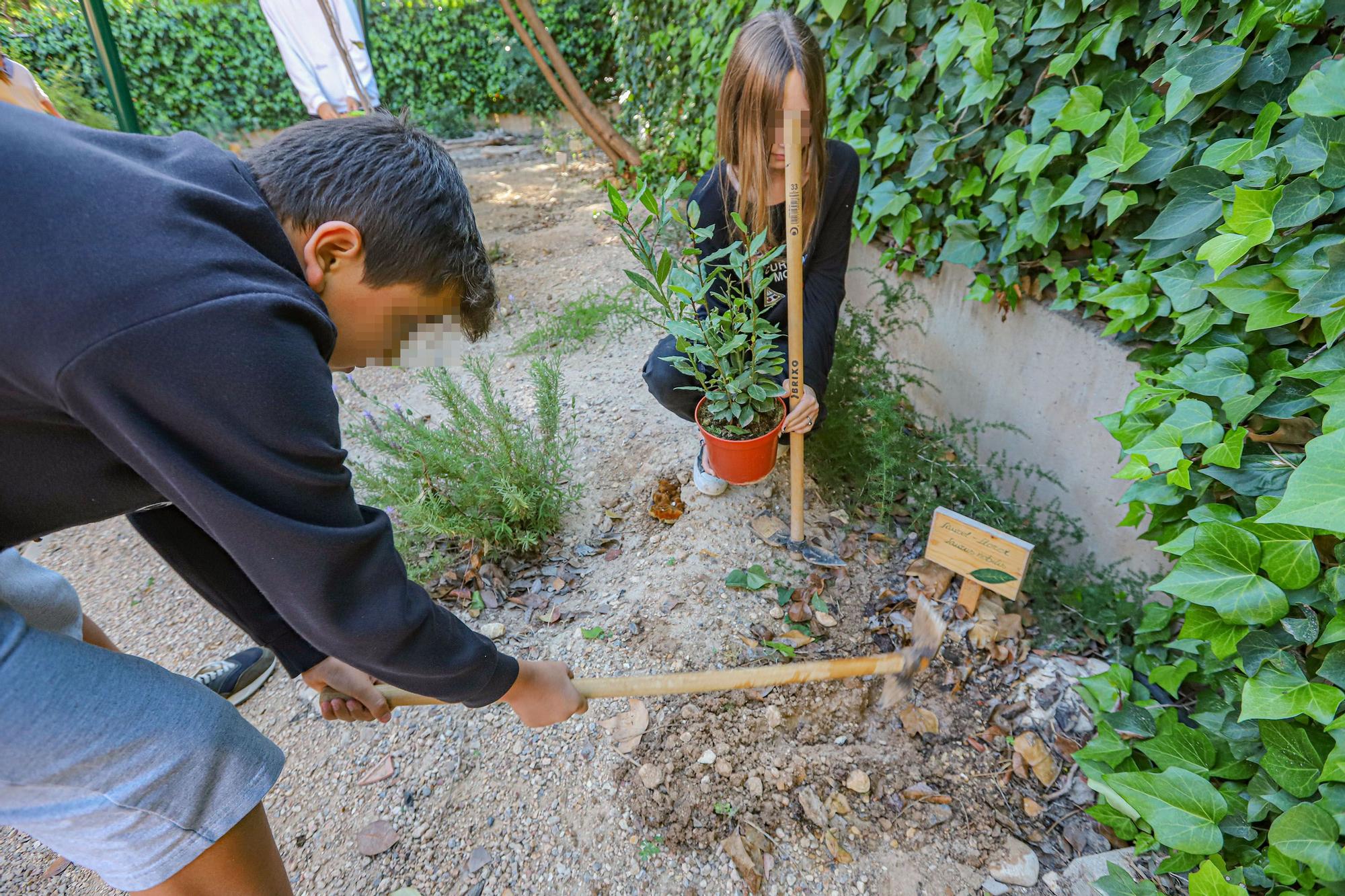 Un instituto «eco friendly» en Elche