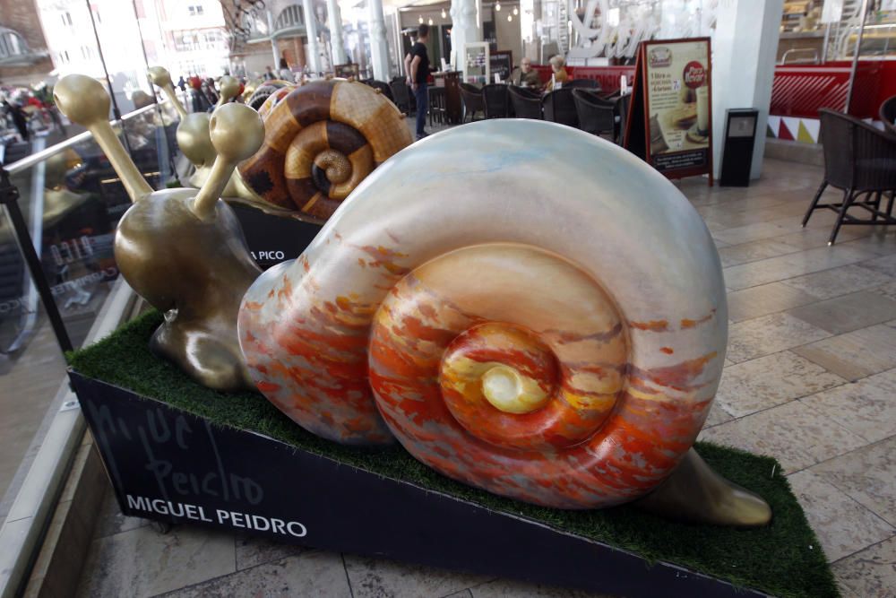 Exposición de caracoles gigantes en el mercado de Colón