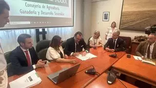 Extremadura acuerda con once bancos la gestión de préstamos al olivar y viñedo de secano