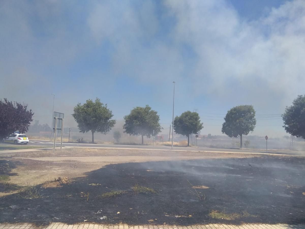 Incendio de pastos en la Ronda Norte de Badajoz