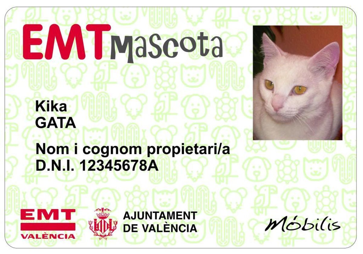 Las mascotas podrán viajar en el autobús de la EMT de València con un bono propio