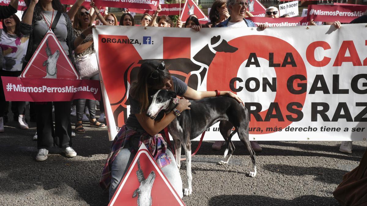 Protestas para incluir a los perros de caza en la nueva ley de bienestar animal