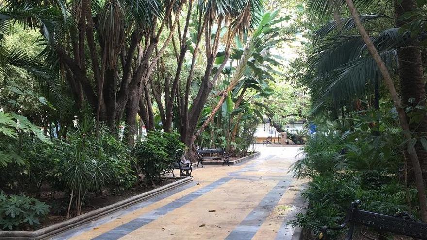 Parte de los árboles y de la vegetación del parque del Paseo de la Alameda.