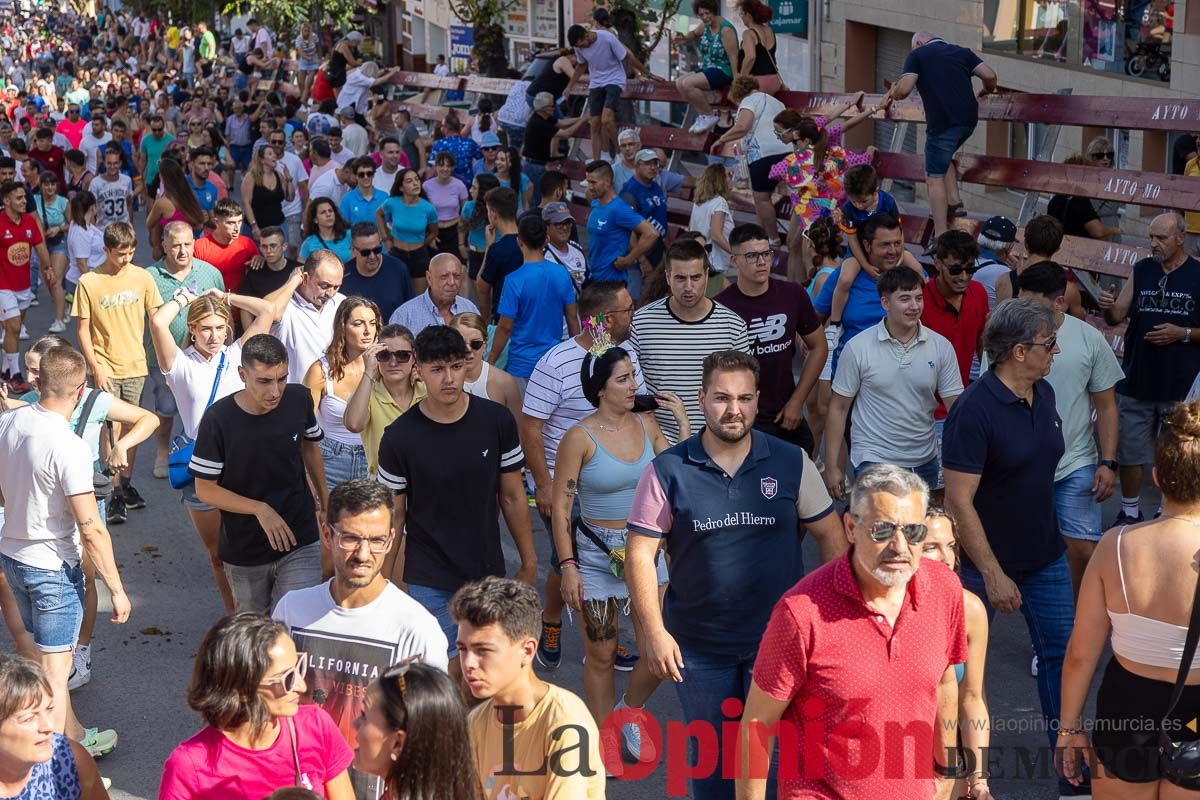 Octavo encierro en las Fiestas de Moratalla