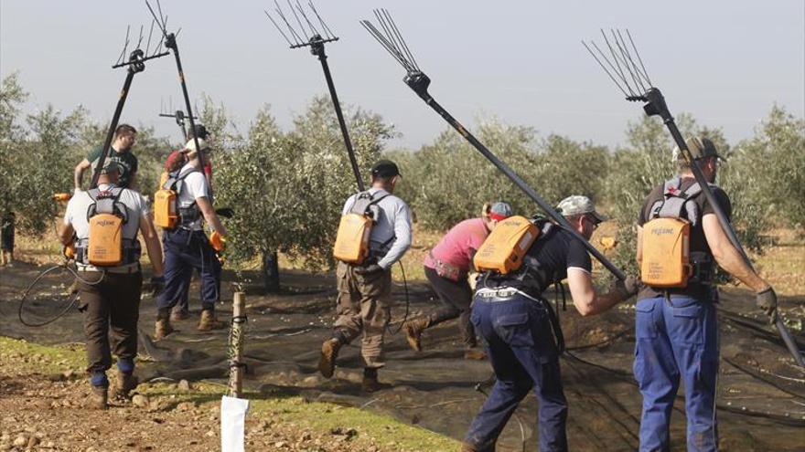 La agricultura registra un aumento del empleo del 18% en el último año