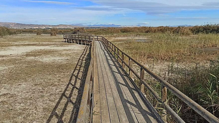 Embalse de la pasarela recientemente desecado para eliminar carpas y carrizo. Al volver a llenarlo aparecieron algunos peces muertos que no pudieron ser hallados antes. | INFORMACIÓN