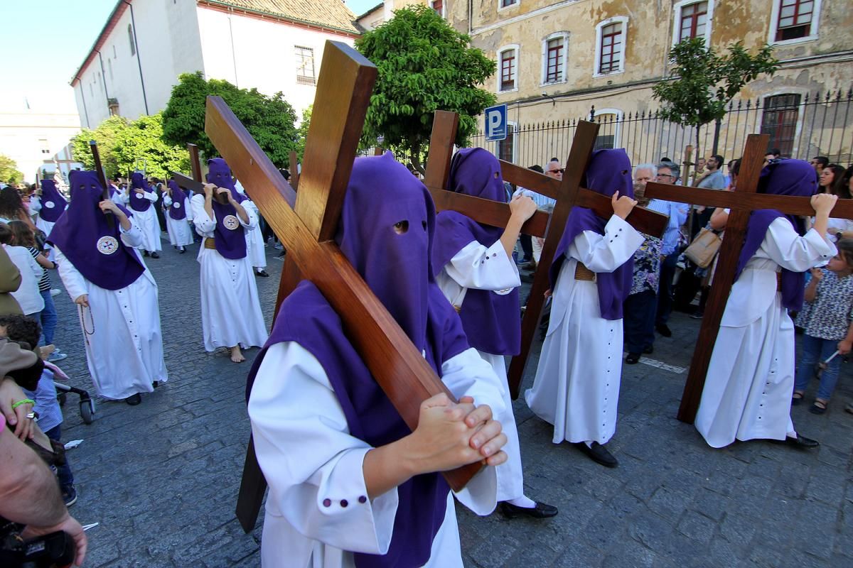 FOTOGALERÍA / Hermandad de la Santa Faz