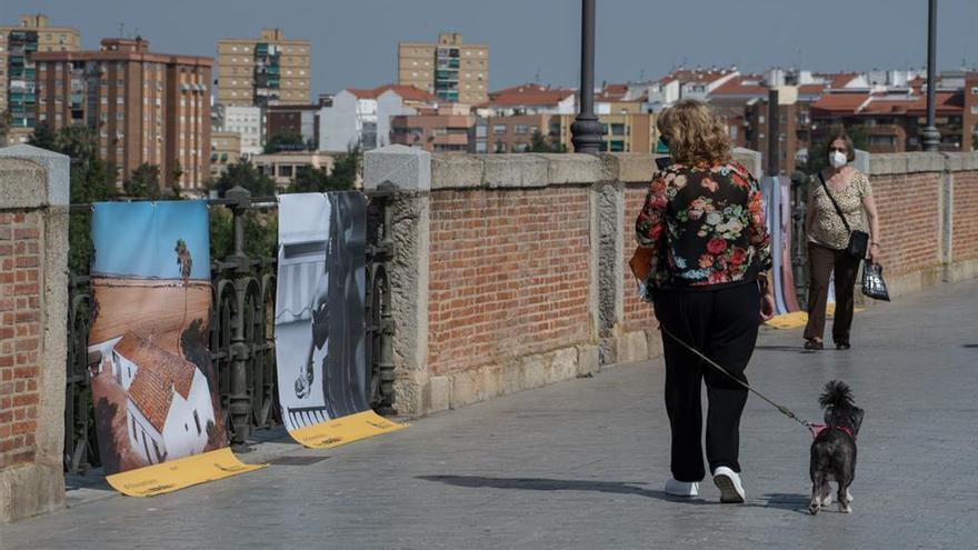El PSOE propone reubicar las fotografías expuestas en el puente de Palmas