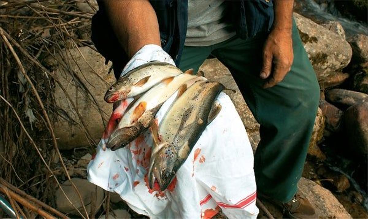 Pescador  de truchas en el río  Morzine