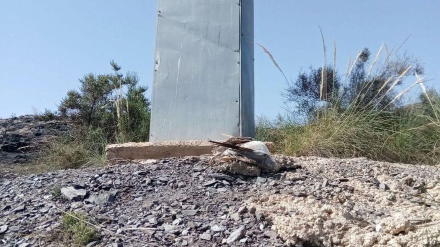 La electrocución de una gaviota causa un incendio en Águilas