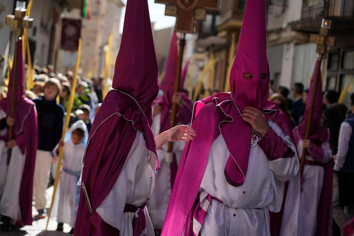 La Procesión de La Borriquita en Zamora, en imágenes La Procesión de La Borriquita en Zamora, en imágenes