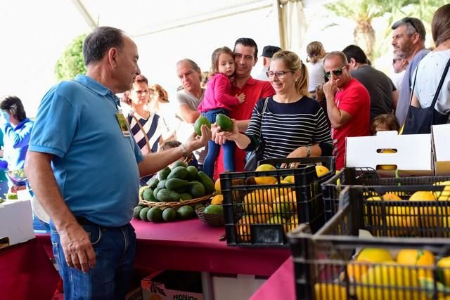 II Feria del Aguacate en Arguineguín