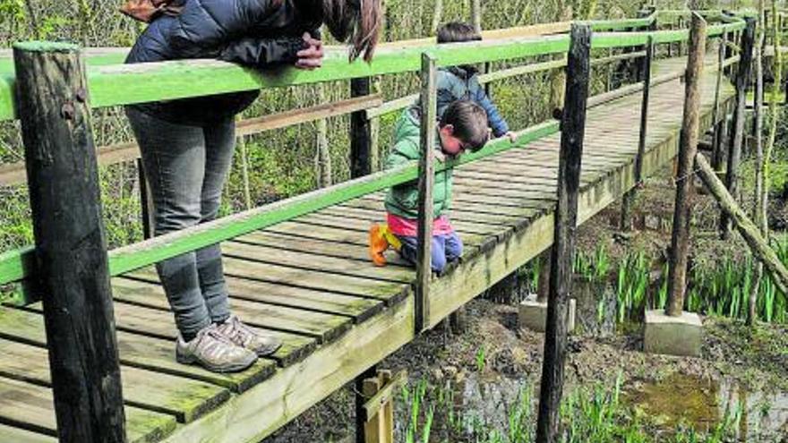 La natura es mostra 
amb tot el seu esplendor 
al Parc dels Aiguamolls.  | BORJA BALSERA