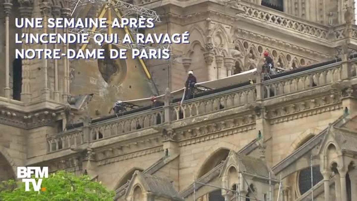 Primeras imágenes del gran paraguas para proteger Notre Dame