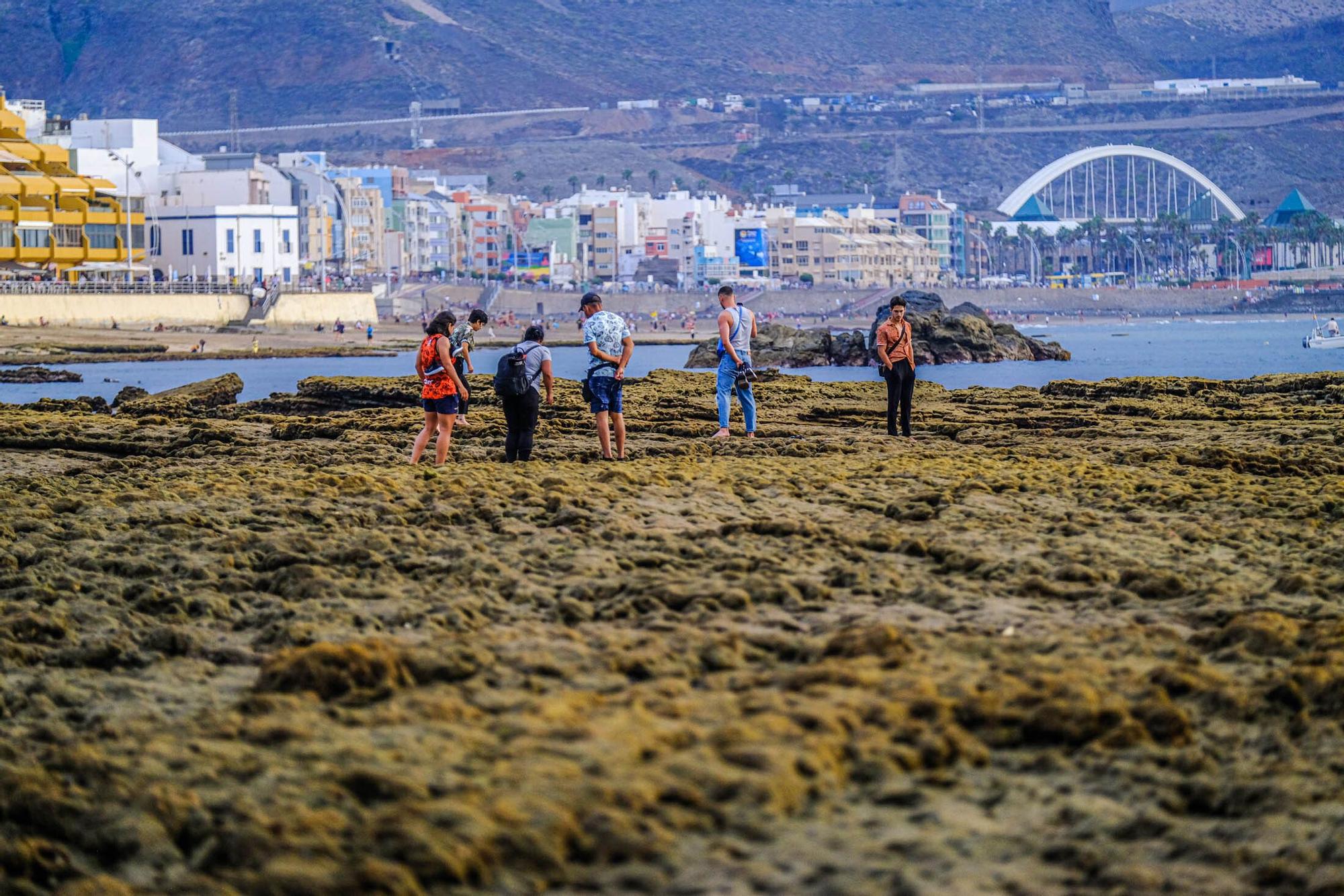 Playas fósiles de Las Canteras