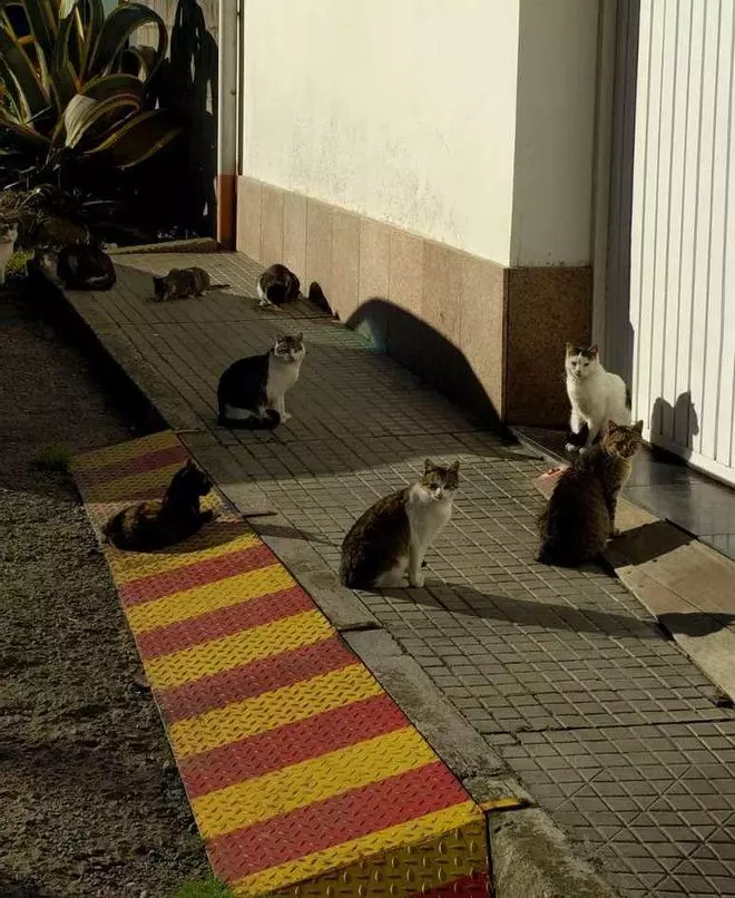 La lacería de Arteixo, a la espera