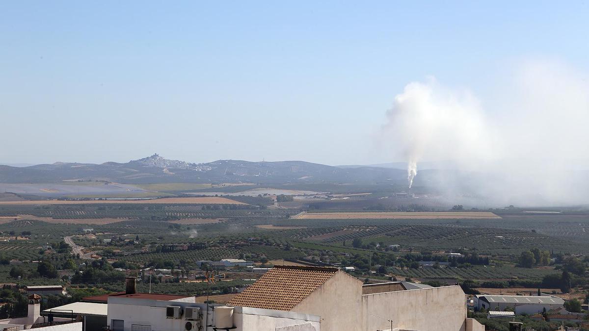 Imagen de la columna de humo que produce la orujera.