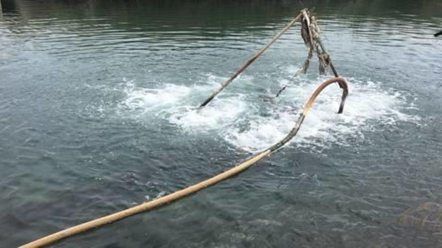 El agua del viejo cauce se ha aclarado en la última semana