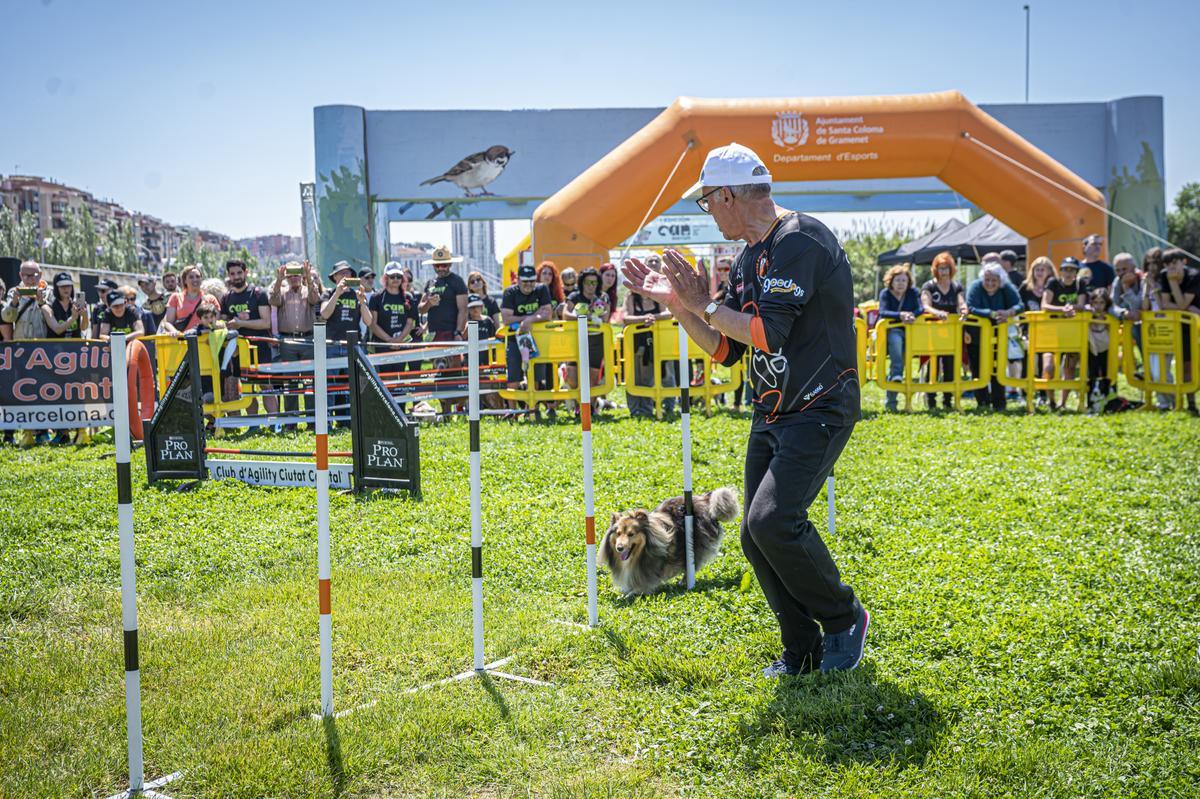 CAN WE RUN BARCELONA. La carrera organizada por Prensa Ibérica y El Periódico de Catalunya con la colaboración de Sport ,  donde las personas y sus mascotas perrunas corren en familia