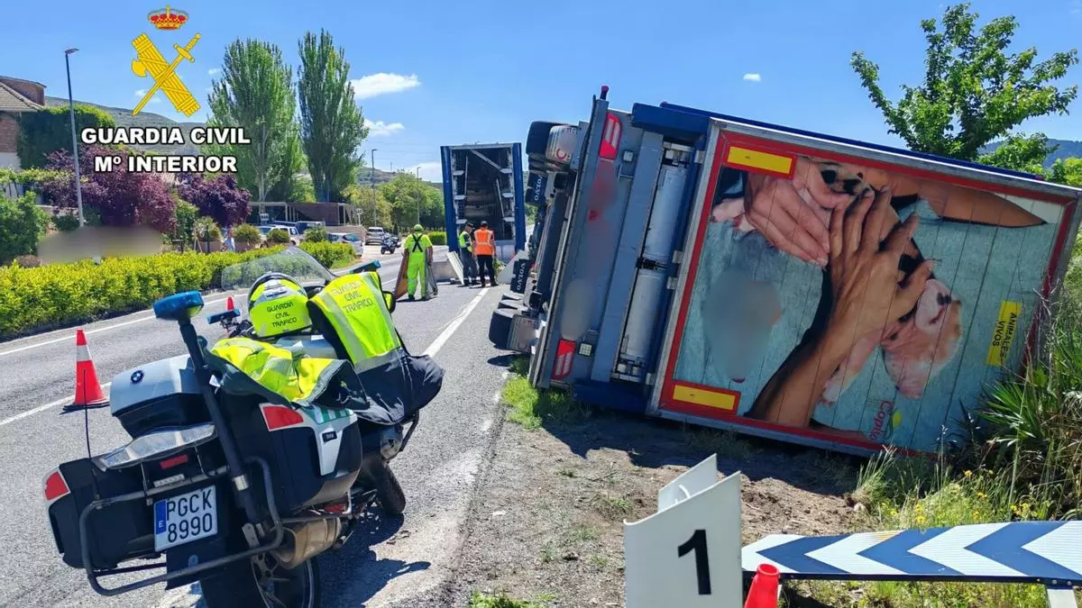 Vuelca un camión con 1.200 lechones en Montón (Zaragoza)